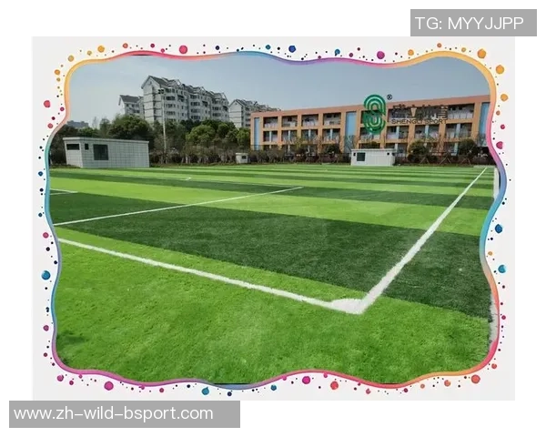 足球场地建设与维护成本分析及其对青少年足球发展的影响探讨